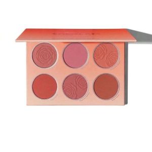 پالت رژگونه FLORAL FLUSH شیگلم SHEGLAM