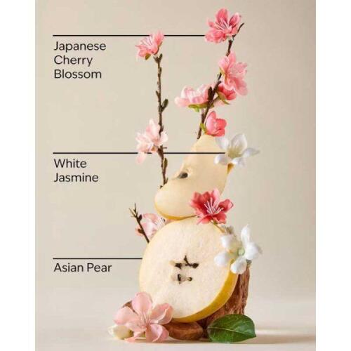کره بدن رایحه JAPANESE CHERRY بث اند بادی BATH & BODY - Image 2